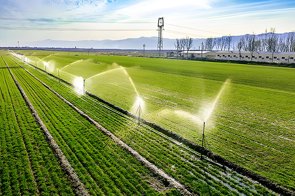 Agriculture